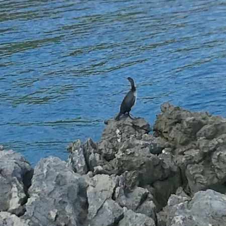 Ferienhaus Paradizo Veli Lošinj