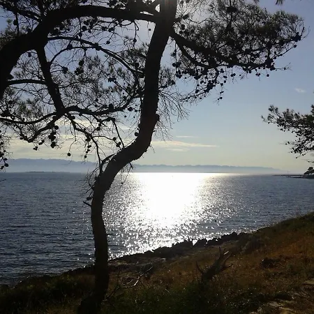 Paradizo Ferienhaus *