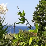 Paradizo Дом отдыха Вели-Лошинь
